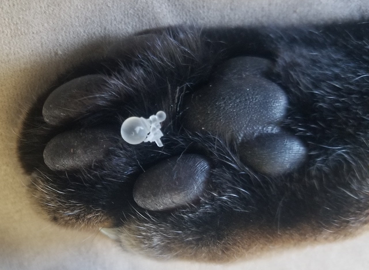 Grafton (WV) Train Station - N Scale